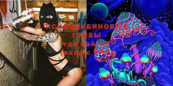 ПСИЛОЦИБИНОВЫЕ ГРИБЫ Володарск